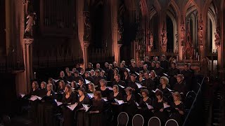 Barber  AGNUS DEI arr Adagio for Strings  Laurens Symfonisch  LIVE [upl. by Nagle55]