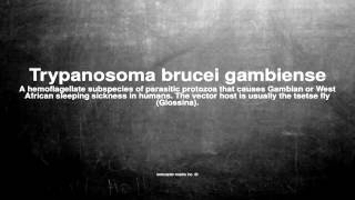 Medical vocabulary What does Trypanosoma brucei gambiense mean [upl. by Eicyak74]