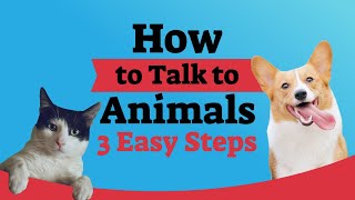 How to Talk to Animals in 3 Easy Steps by Val Heart On Real Wisdom Ted Talk Style TV [upl. by Cuttler]