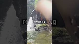 Discover Belgrades Hidden Gems Resava Cave amp Lisine Waterfall [upl. by Ambros]