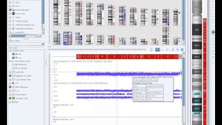 ChAS Analysis Workflow [upl. by Christianson]