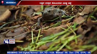 ಕುಂದಾಪುರದ ಬಸ್ರೂರಿನಲ್ಲಿ ಬಣ್ಣದ ಚಿತ್ತಾರ ಹೊಂದಿರುವ ವಿಶಿಷ್ಠ ಕಪ್ಪೆ [upl. by Lindsay242]