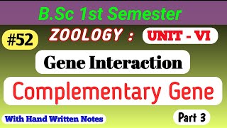 Gene Interaction Part 3  Complementary Gene  bsc msc sem complementarygene geneintraction [upl. by Anaj]