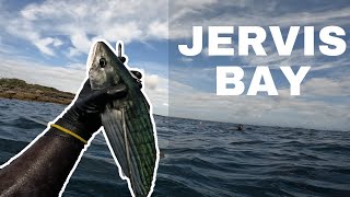 RAW SERIES  Ghost spearfishing Jervis Bay primal adventures [upl. by Cami]