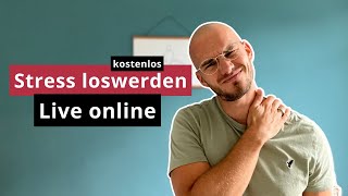 Stress Symptome verstehen und loswerden [upl. by Llain]