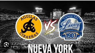 aguila vs licey en vivo desde New York [upl. by Masuh38]