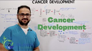 How Does Cancer Develop In The Body [upl. by Kovacs474]