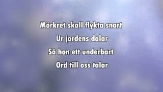 Sankta Lucia Natten går tunga fjät karaoke  lyrics [upl. by Drahsar309]