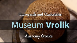 Museum Vrolik  Anatomy Stories 5 Graveyards amp Curiosities [upl. by Nnailuj]