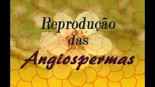 Reprodução das Angiospermas  3 Biologia [upl. by Hayidan]