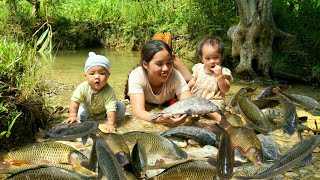 Encounter huge schools of fish  catch fish and fish traps on rainy and windy days [upl. by Amrita]