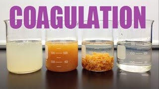 Coagulation of Colloids [upl. by Ynnaej]