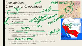 Coccidioides ParacoccidioidesTalaromycosis Penicillium [upl. by Brigit279]