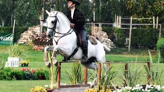 Working Equitation a Fun Way to Train Seriously  Pedro Neves clinic [upl. by Sillsby722]