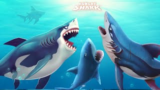 CRETOXYRHINA VS GREAT WHITE SHARK  Hungry Shark Primal vs Hungry Shark Evolution amp World [upl. by Sirromal466]