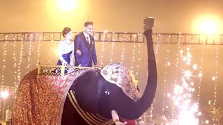 Reception Entry Elephant BEST OF 2018 Parimal Weds Rajal [upl. by Jan]