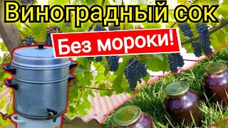 Как сделать без особых усилий шикарный натуральный сок из винограда на зиму [upl. by Esor]