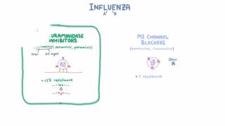 Influenza Treatment  Medications and Criteria for Treatment [upl. by Bran]