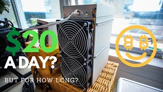 Antminer Z15 PROFITS After 24 Hours On NICEHASH [upl. by Jann]