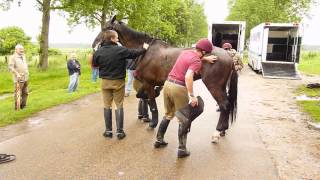 The Household Cavalry on Holkham Beach [upl. by Avi]