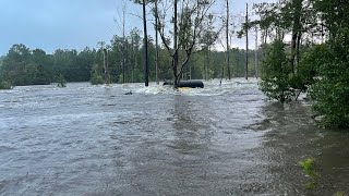 Boiling Spring lakes September 16 massive flooding [upl. by Hnao]