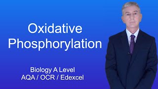 A Level Biology Revision quotOxidative Phosphorylationquot [upl. by Fevre]