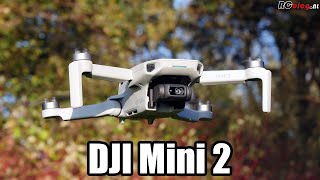 DJI Mini 2 video review NL [upl. by Kaylyn]