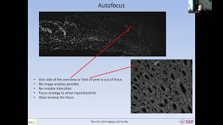 Efficient strategies to find the area of interest large FOV tiling and autofocus [upl. by Lantha]