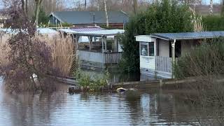 Hoge waterstanden bij camping in Wedde [upl. by Wandy]