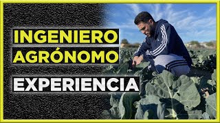 📚 ESTUDIAR INGENIERÍA AGRONÓMICA 🚜 ¿Es difícil  Experiencia Real [upl. by Sedaiuqlem714]