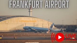 🔴Live Frankfurt Airport Friday 18 West Planesptting 25 Betrieb FRAEDDF [upl. by Ardnauq]