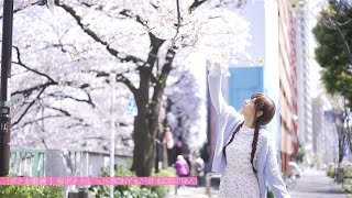 ［ポトレ動画 ］桜ポートレートみそしるさん α7RⅢ ILCE7RM3 [upl. by Mahgirb158]