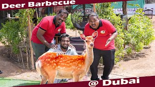 Deer Barbecue in Dubai Farm  Cooking with Jabbar Bhai  WFT  Tamil Safari [upl. by Beaston722]