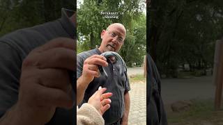 Farrier Discusses Breakover In Shoeing shorts farrier horseshoeing horseriding equestrian [upl. by Georgiana]