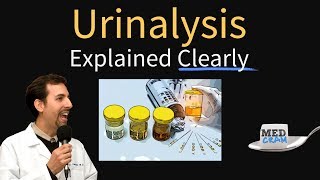 Urinalysis Interpretation Explained Clearly  Glucose amp Ketones in Urine [upl. by Mettah]