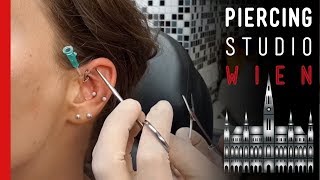 💉 TRIMIX Piercing 💉 das seltenste Ohrpiercing überhaupt 💉 Marcs Piercing TV [upl. by Aramaj]