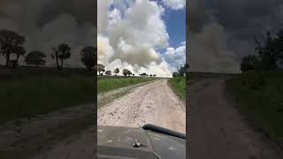 Prescribed burn 72024 okeechobee fl floridacracker wildflorida conservation forester [upl. by Ydarg]