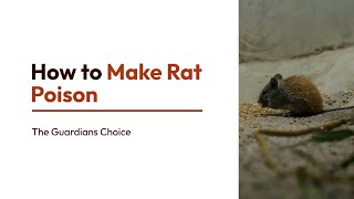 4 Ways to Make Rat Poison  How to Make Rat Poison  The Guardians Choice [upl. by Ynnal]