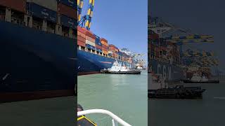 CMA CGM SHIPPING LINE UNBERTHING VIDEO 5TUG shortvideo shiplover shiplovers [upl. by Oiramat]