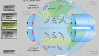 Global Atmospheric Circulation [upl. by Cammie]