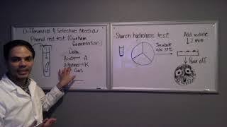 Phenol Red Test amp Starch Hydrolysis Test [upl. by Nosduj]