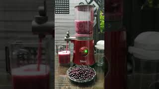 Falsa ka Sharbat  Falsa juice recipe  Falsa ka sharbat with Balzano Yoga Blender [upl. by Adnirem986]