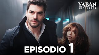 Yaban Çiçekleri  Episodio 1 Sottotitolato in italiano [upl. by Procter]