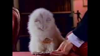 Fancy Feast commercial 1985 [upl. by Atlanta311]