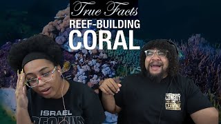 Ze Frank True Facts Reef Coral Is A Crazy Animal  REACTION [upl. by Yllek]