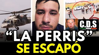 Así El Perris de LOS CHAPITOS Huye tras OPERATIVO en Angostura Sinaloa [upl. by Mattland303]