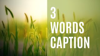 3 Words Caption  instagram captions for girls  Instagram captions ideas captions instacaptions [upl. by Okimuk542]