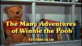 The Many Adventures of Winnie the Pooh  05  Little Black Rain Cloud [upl. by Bred]