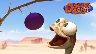 Will Oscar Get His Favourite Fruit  Oscars Oasis  Funny Cartoons for Kids [upl. by Oran728]