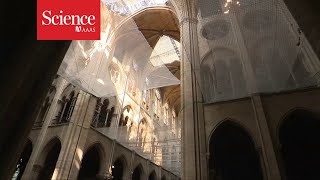 A look inside the restoration of Notre Dame cathedral [upl. by Bayard]